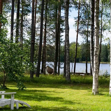 Koivulehto Sakinmaki