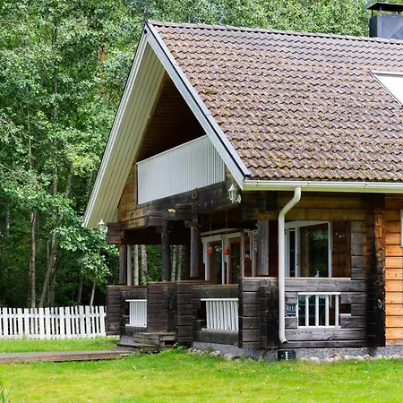 Koivulehto *