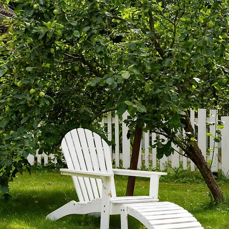 Koivulehto Huvilat *